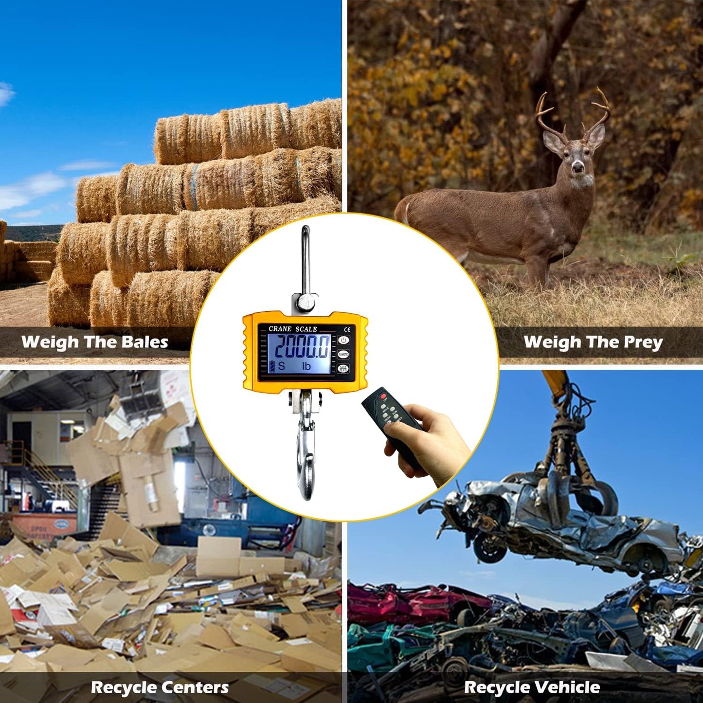 Digital Crane Scale